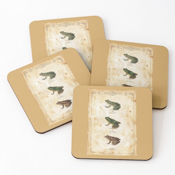 Item preview, Vintage Frog Scientific Print – Atlas of Herpetology – Antique Amphibian Poster – Rana Halecina & Palustris Art – Naturalist Wall Decor – Set of 3 Frogs Plate designed and sold by Jeeklsdotcom.