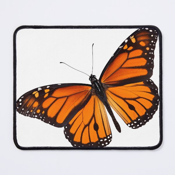 Item preview, Vibrant monarch butterfly in flight with stunning orange wings designed and sold by Creative88Art.