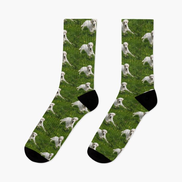 Item preview, Labrador in Grass designed and sold by sharmander12.