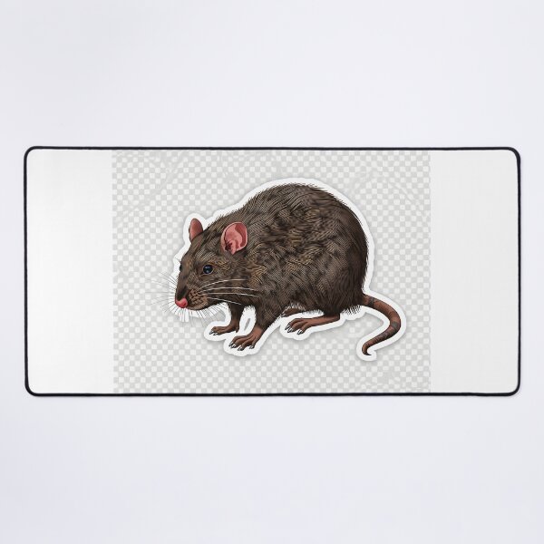 Item preview, Realistic Brown Rat Sticker | Detailed Rodent Art designed and sold by Teewave-Ashish.