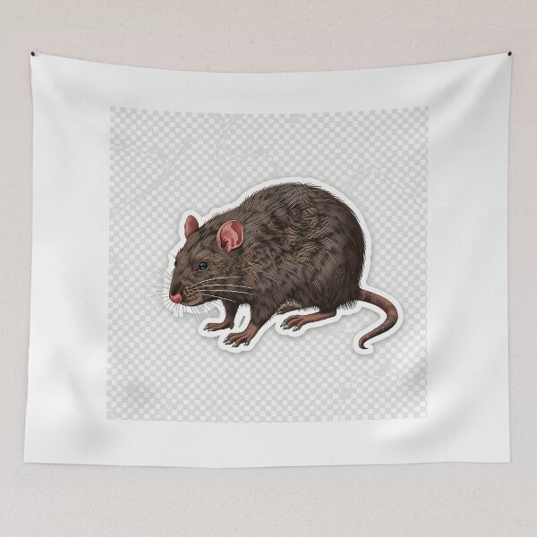 Item preview, Realistic Brown Rat Sticker | Detailed Rodent Art designed and sold by Teewave-Ashish.