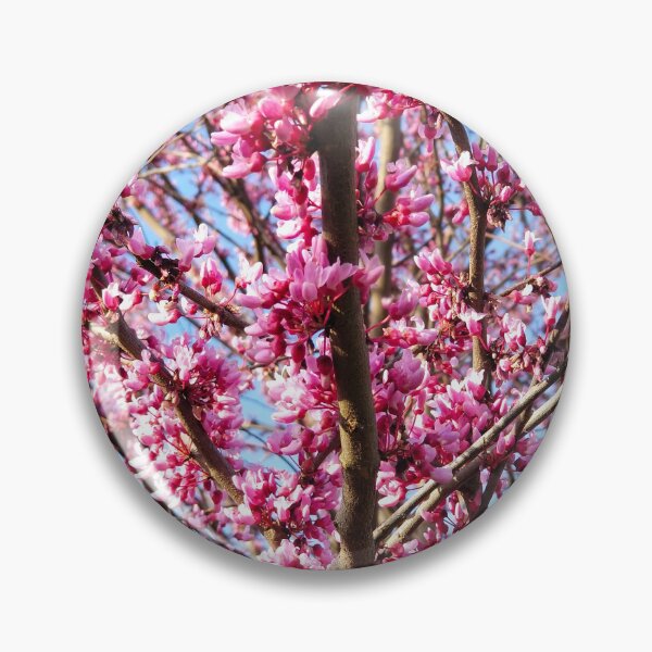 Item preview, Redbud Tree in Bloom designed and sold by bjtomiko.