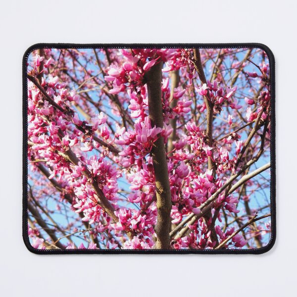 Item preview, Redbud Tree in Bloom designed and sold by bjtomiko.