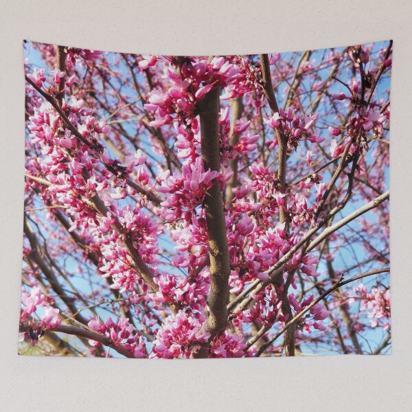 Item preview, Redbud Tree in Bloom designed and sold by bjtomiko.