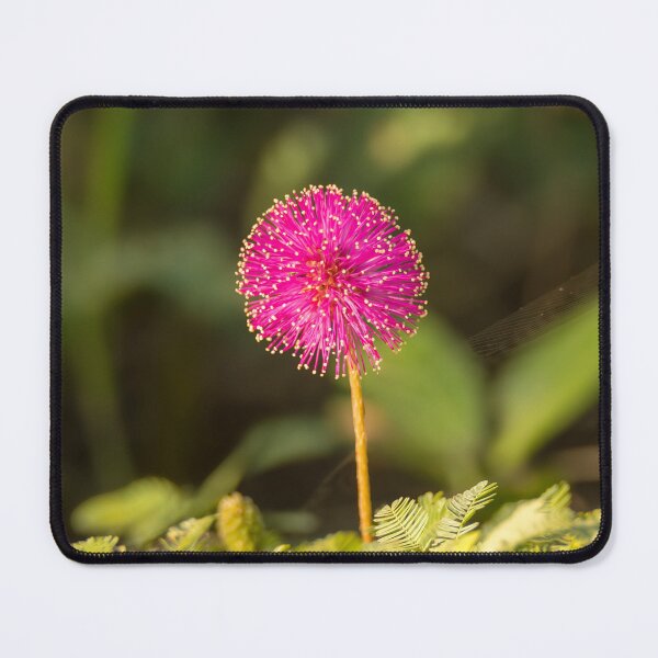 Item preview, Bright Pink Spherical Flower designed and sold by Debra Martz.