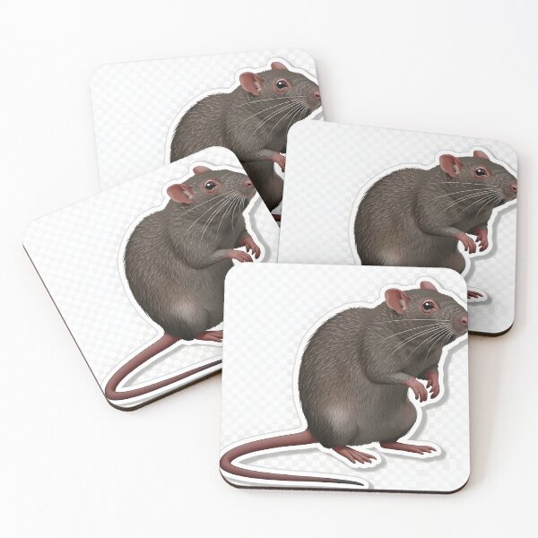 Item preview, Standing Rat Sticker | Realistic Rodent Illustration designed and sold by Teewave-Ashish.