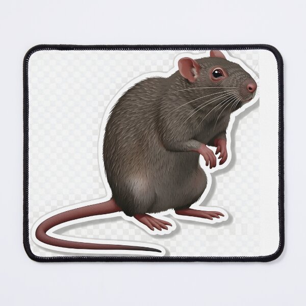 Item preview, Standing Rat Sticker | Realistic Rodent Illustration designed and sold by Teewave-Ashish.