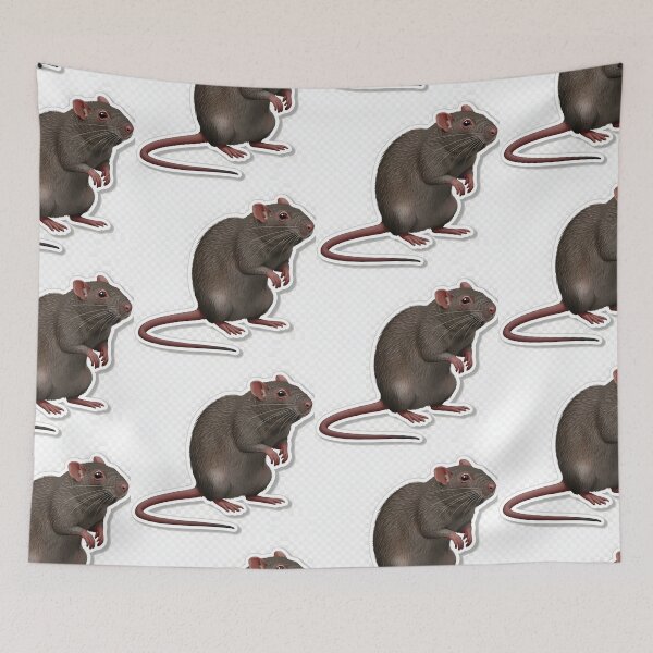 Item preview, Standing Rat Sticker | Realistic Rodent Illustration designed and sold by Teewave-Ashish.