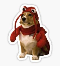 Corgi in Lobster Costume Sticker