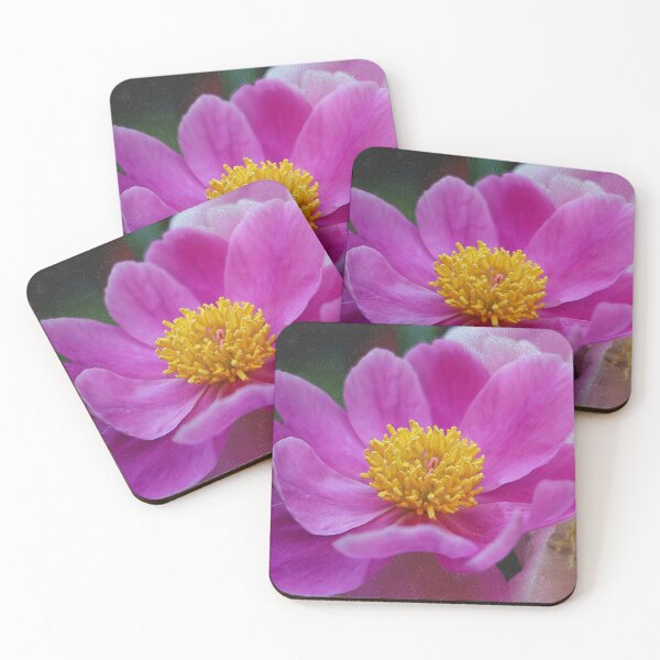 Item preview, Pink Chinese Peony With Textured Background designed and sold by BostonArcImage.
