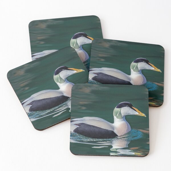 Item preview, Eider  Drake designed and sold by Tom McPherson Photography.