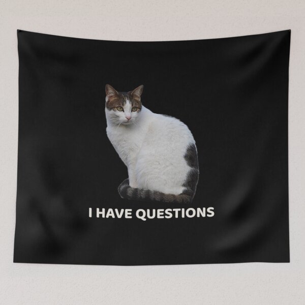 Item preview, I Have Questions – Funny Judging Cat Meme Design designed and sold by MB-CatPrints.