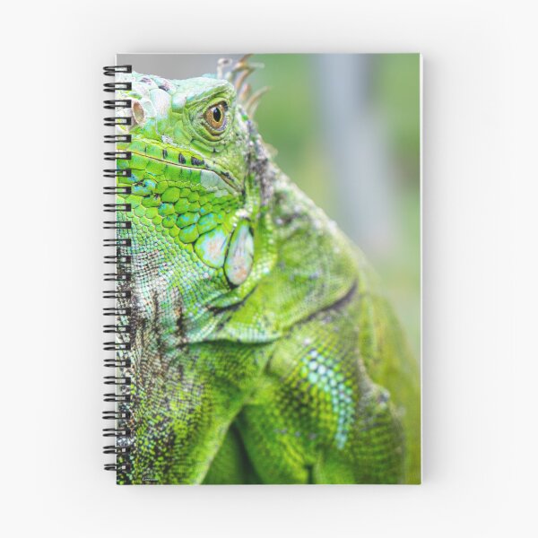 Item preview, The Gaze of a Green Reptile  designed and sold by alleynegulston.