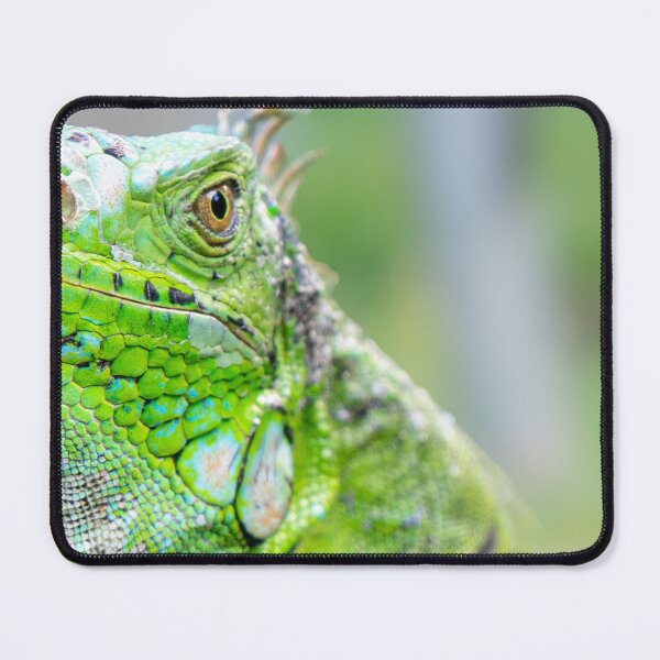 Item preview, The Gaze of a Green Reptile  designed and sold by alleynegulston.