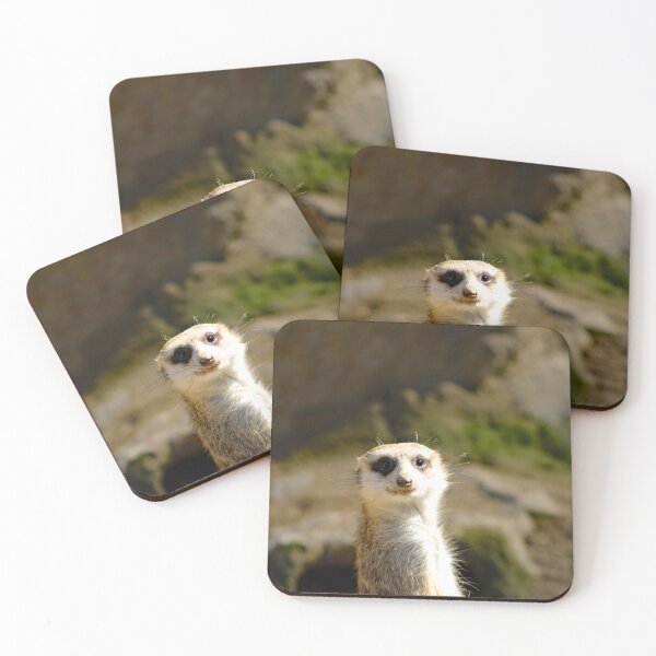 Item preview, Los Angeles Zoo  designed and sold by supernova23.