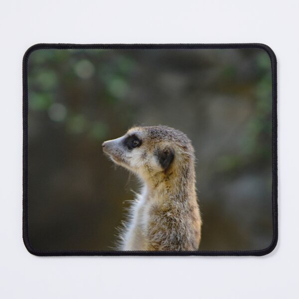 Item preview, Los Angeles Zoo  designed and sold by supernova23.