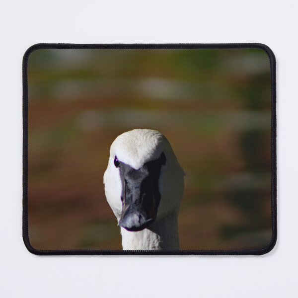 Item preview, Los Angeles Zoo  designed and sold by supernova23.