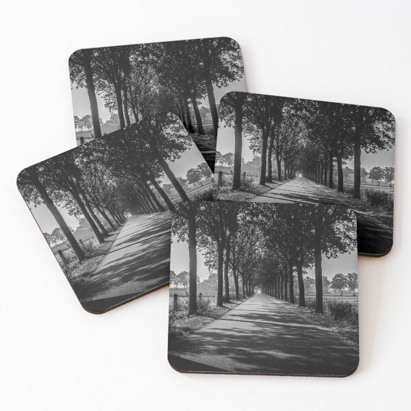 Item preview, Achtmaal Tree Lined Road Black and White designed and sold by Radiocafe.