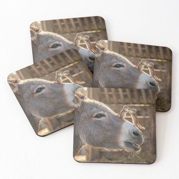 Item preview, Chipmunks Dance on Donkey's Muzzle designed and sold by Tridentulus.