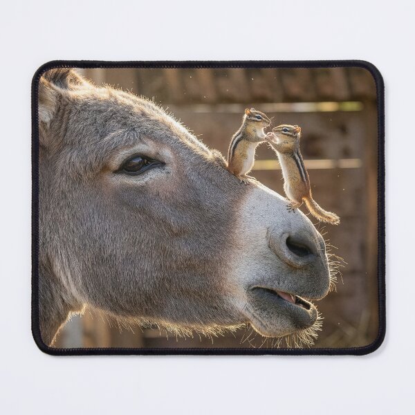 Item preview, Chipmunks Dance on Donkey's Muzzle designed and sold by Tridentulus.