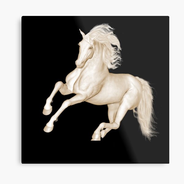 Lipizzaner Metal Print