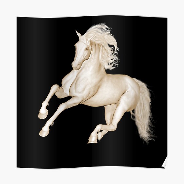 Lipizzaner Poster