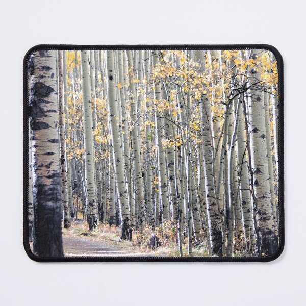 Item preview, Aspens designed and sold by Valentina Gatewood.