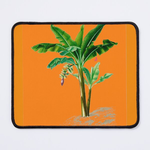 Item preview, Bananas are proof that God has a sense of humor — He made the funniest fruit the most nutritious. designed and sold by PINC RABBIT.