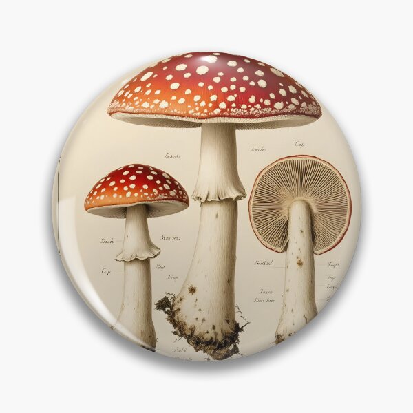 Item preview, Fungi Specimen Plate Vintage Botanical Scientific Illustration designed and sold by PixelPrintsCo.