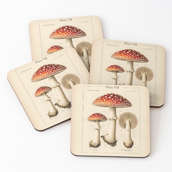 Item preview, Fungi Specimen Plate Vintage Botanical Scientific Illustration designed and sold by PixelPrintsCo.