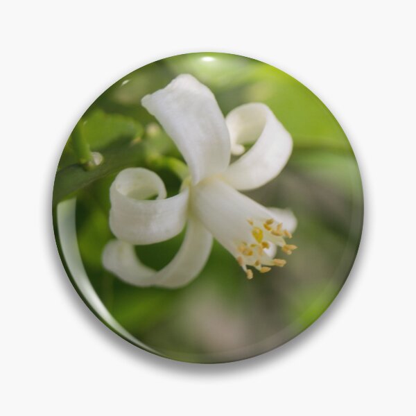 Item preview, citrus blossom designed and sold by ROSE ANN BANILAR.