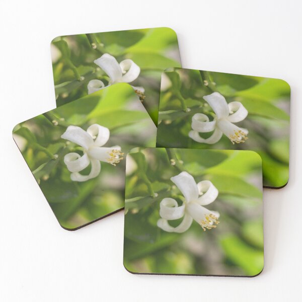 Item preview, citrus blossom designed and sold by ROSE ANN BANILAR.