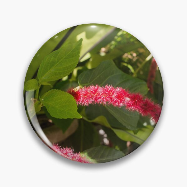 Item preview, Chenille plant designed and sold by ROSE ANN BANILAR.