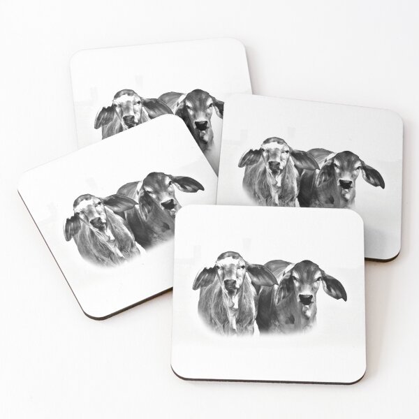 Item preview, BRAHMAN CALVES, CUTE COWS designed and sold by Barbara Jean Photo Art And Design.
