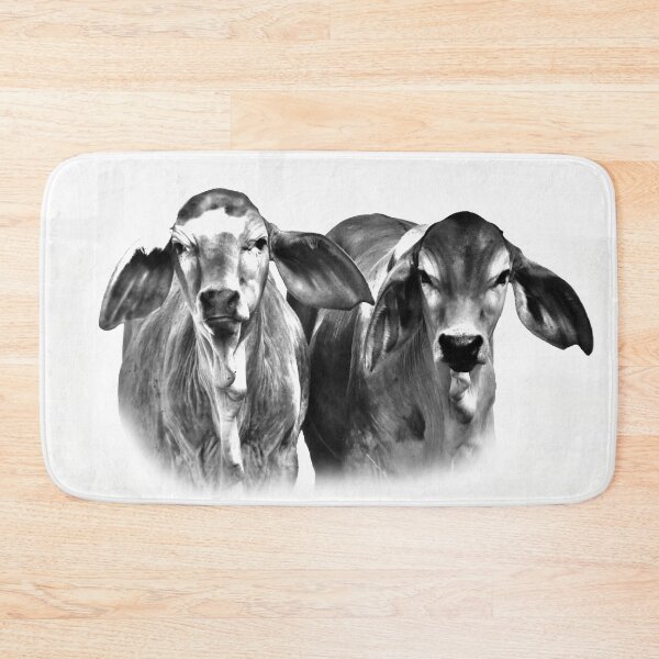 Item preview, BRAHMAN CALVES, CUTE COWS designed and sold by Barbara Jean Photo Art And Design.