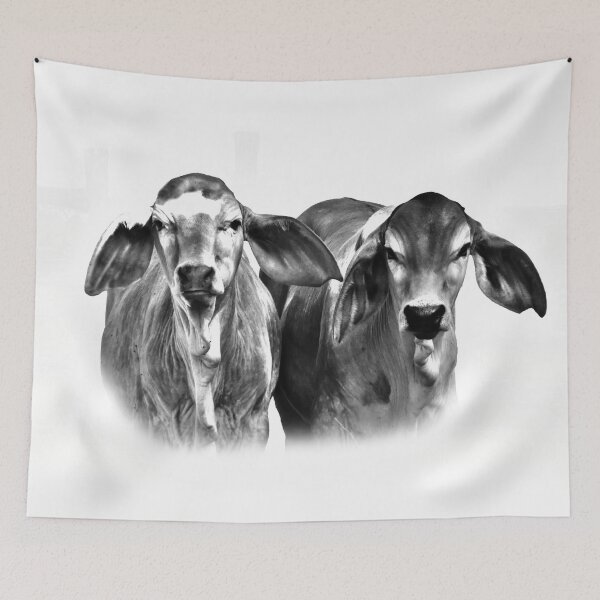 Item preview, BRAHMAN CALVES, CUTE COWS designed and sold by Barbara Jean Photo Art And Design.