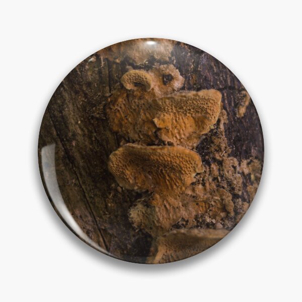 Item preview, bracket fungus or shelf fungus designed and sold by ROSE ANN BANILAR.