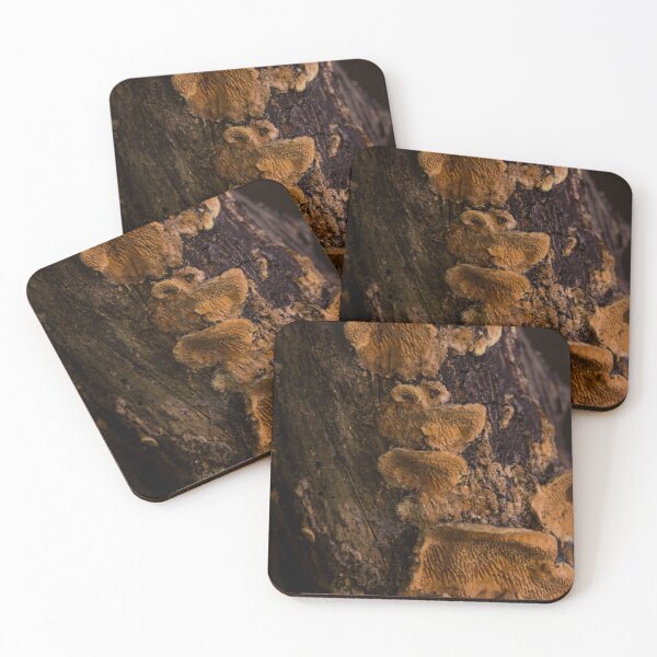Item preview, bracket fungus or shelf fungus designed and sold by ROSE ANN BANILAR.