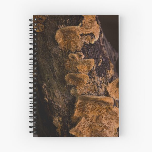 Item preview, bracket fungus or shelf fungus designed and sold by ROSE ANN BANILAR.