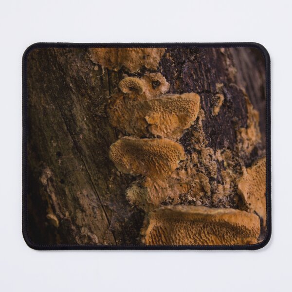 Item preview, bracket fungus or shelf fungus designed and sold by ROSE ANN BANILAR.