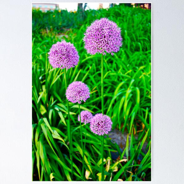 Item preview, purple flowers designed and sold by marcy413.