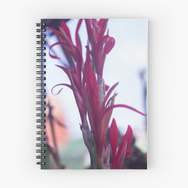 Item preview, Canna lilies designed and sold by ROSE ANN BANILAR.