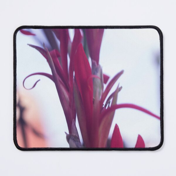 Item preview, Canna lilies designed and sold by ROSE ANN BANILAR.