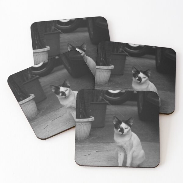 Item preview, Black and White Cat designed and sold by ROSE ANN BANILAR.