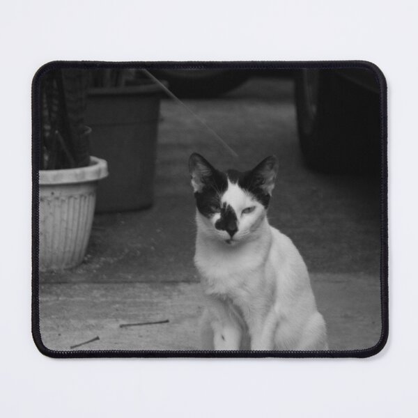 Item preview, Black and White Cat designed and sold by ROSE ANN BANILAR.