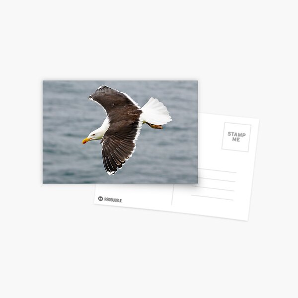 Item preview, Sea cliff predator designed and sold by AndrewJonesFoto.