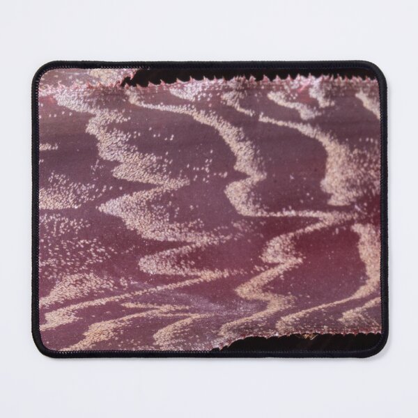 Item preview, Zebra Plant Leaf designed and sold by ROSE ANN BANILAR.