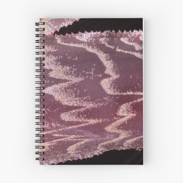 Item preview, Zebra Plant Leaf designed and sold by ROSE ANN BANILAR.