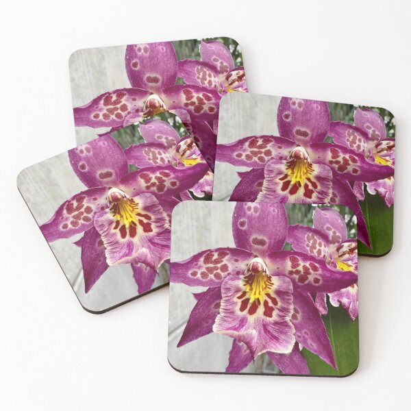 Item preview, Purple orchid  designed and sold by PaintedPuffins.