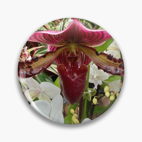 Item preview, Lady slipper orchid designed and sold by PaintedPuffins.